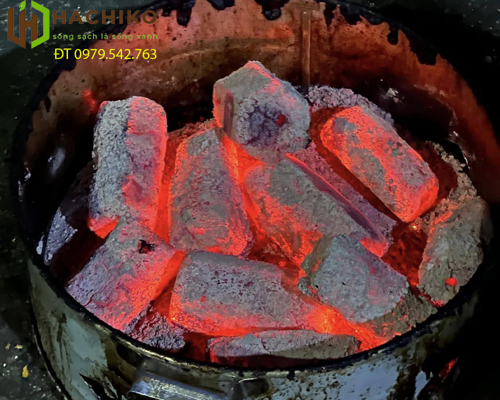 than-nuong-gao-dua-khong-khoi-hachiko-1