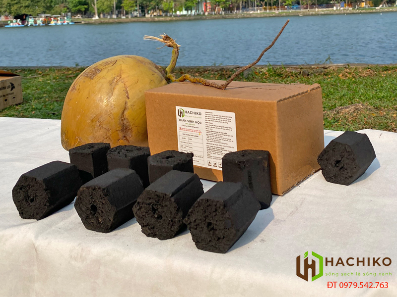 than-nuong-gao-dua-khong-khoi-hachiko-3