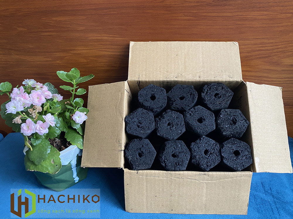 than-nuong-sach-khong-khoi-hachiko-1